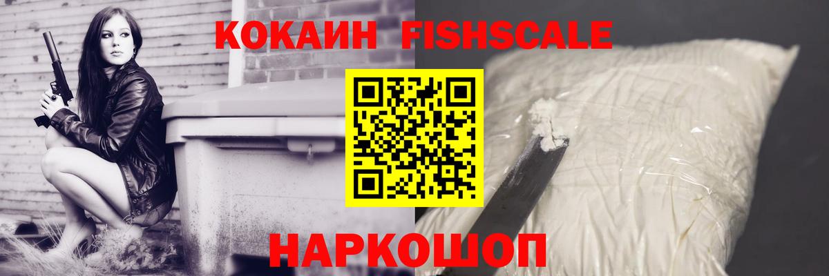 A PVP Новочебоксарск