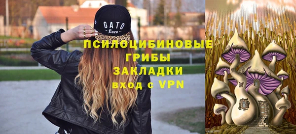 apvp Абинск