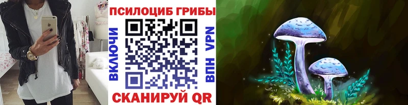 сколько стоит Новочебоксарск blacksprut ССЫЛКА Псилоцибиновые грибы Psilocybe