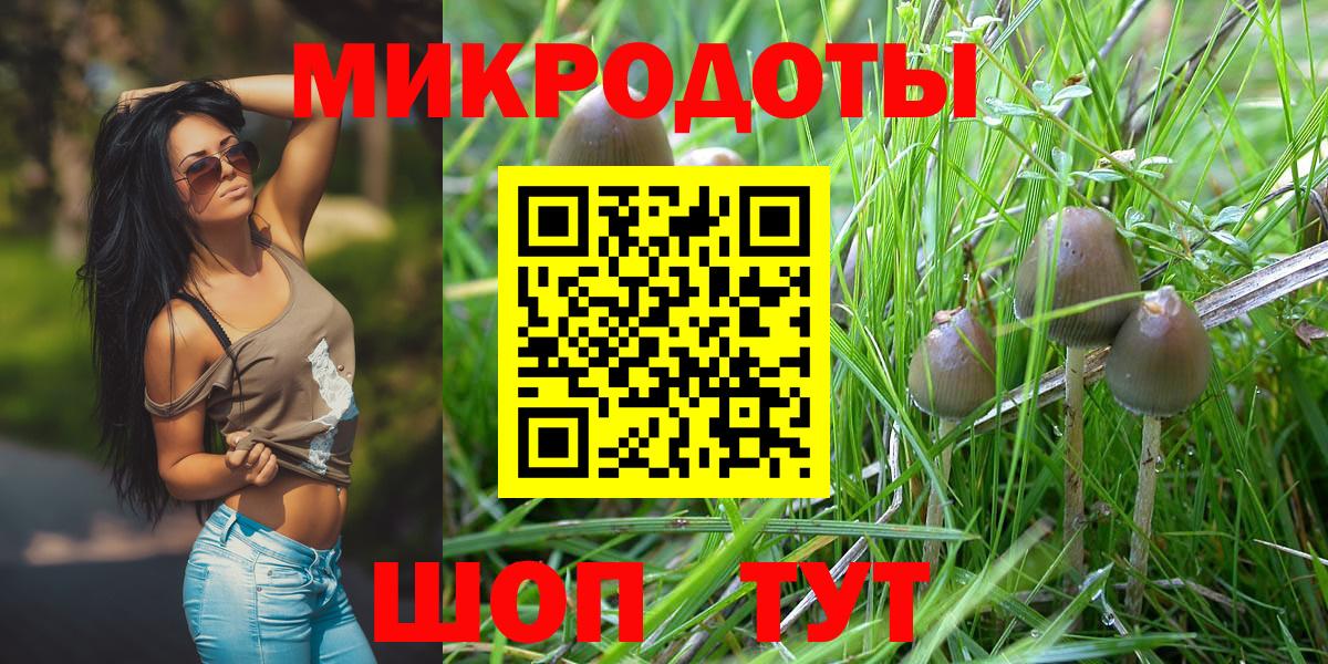 Галлюциногенные грибы Magic Shrooms  Псилоцибиновые грибы ЛСД  Новочебоксарск  Вход с VPN 